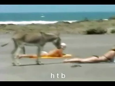 Відео Natalie Has A Fat Ass безкоштовні порно сайти (Allie Sin, Natalie Nunez, Dakoda Brookes)